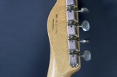Fender Signature Brad Paisley Road Worn Telecaster Silver Sparkle-5.jpg